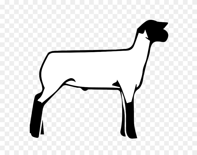 600x600 Free Show Lamb Clip Art Sheep Graphics Clublamb Images - Sheep Black And White Clipart