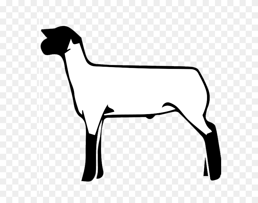 600x600 Free Show Lamb Clip Art Sheep Graphics Clublamb Images - Sheep Clipart Outline