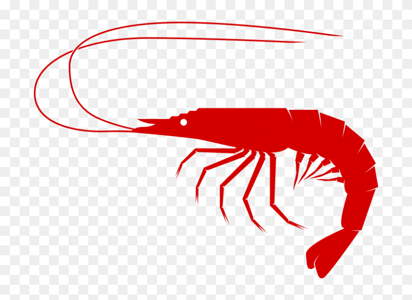 800x566 Free Shrimp Clipart - Cooked Fish Clipart