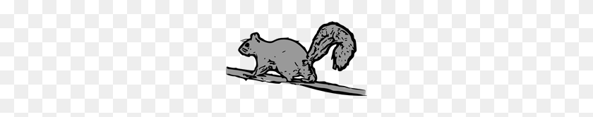 200x106 Free Squirrel Clipart Png, Squ Rrel Icons - Squirrel Clipart Black And White