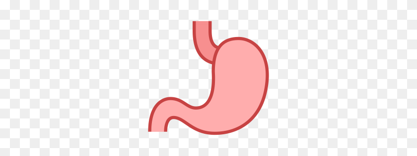 256x256 Free Stomach Icon Download Png - Stomach PNG