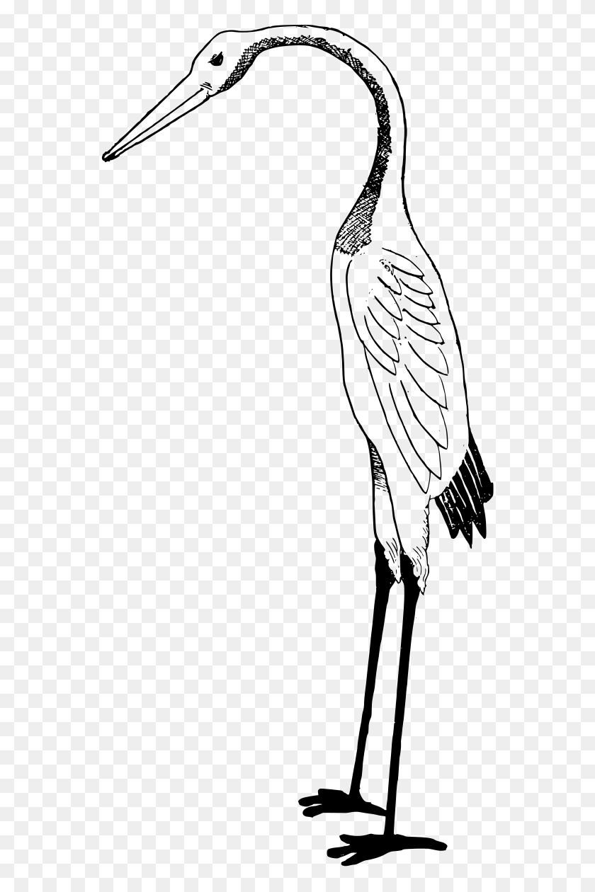 556x1200 Free Stork Art - Baby Stork Clipart