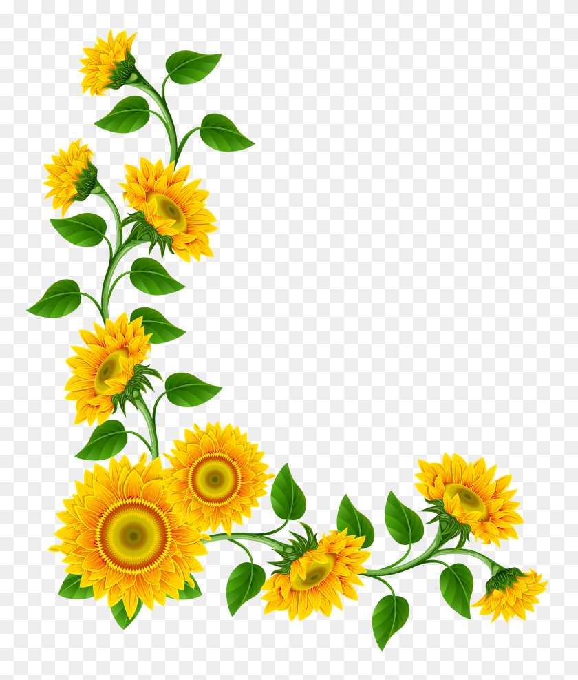 4316x5130 Free Sunflower Border Clipart Image - Fall Border PNG