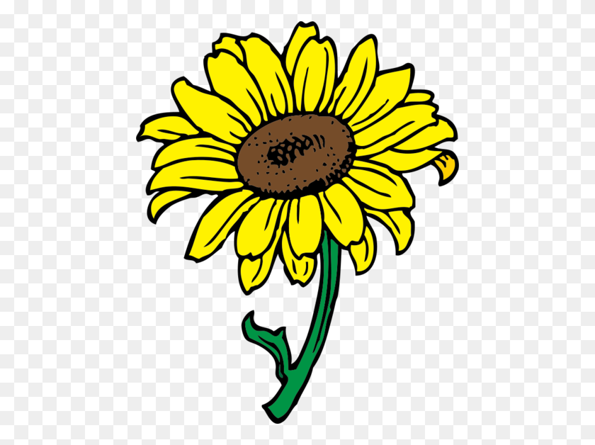 456x568 Free Sunflower Clipart And Vector Graphics - Sunflower Seed Clipart