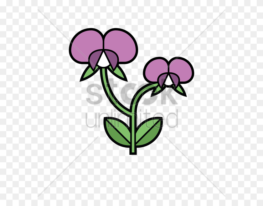 Download Sweet Pea Drawing Flower Vine - Sweet Pea Clip Art ...