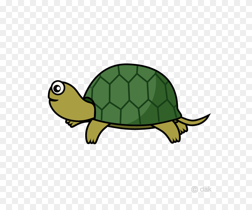 640x640 Free Tortoise Seen From The Side Cartoon Clipart - Tortoise Clipart