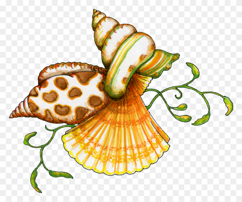 1873x1541 Free Transparent Png And Paint Shop Pro Tubes Products I - Seashell Clipart Черно-Белый