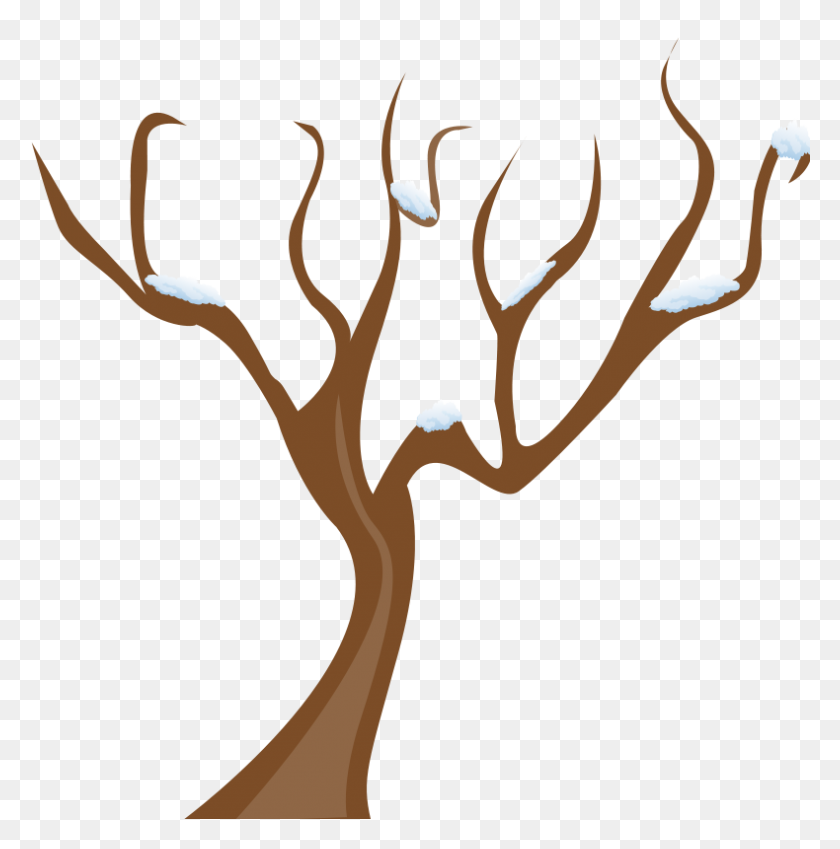790x800 Free Tree Clipart - Simple Tree Clipart