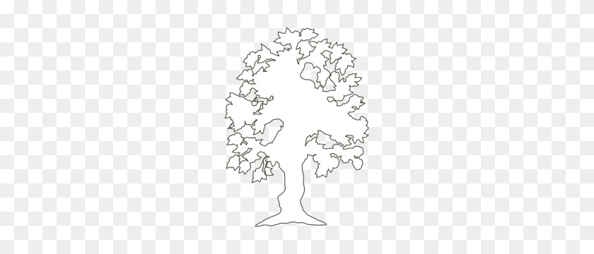 216x300 Free Tree Clipart Png, Tree Icons - Tree Outline Clipart