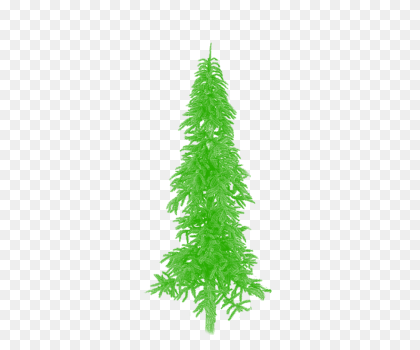 640x640 Free Tree Png Green Clipart Vector, Tree Png Plan, Tree Png - Xmas Tree PNG