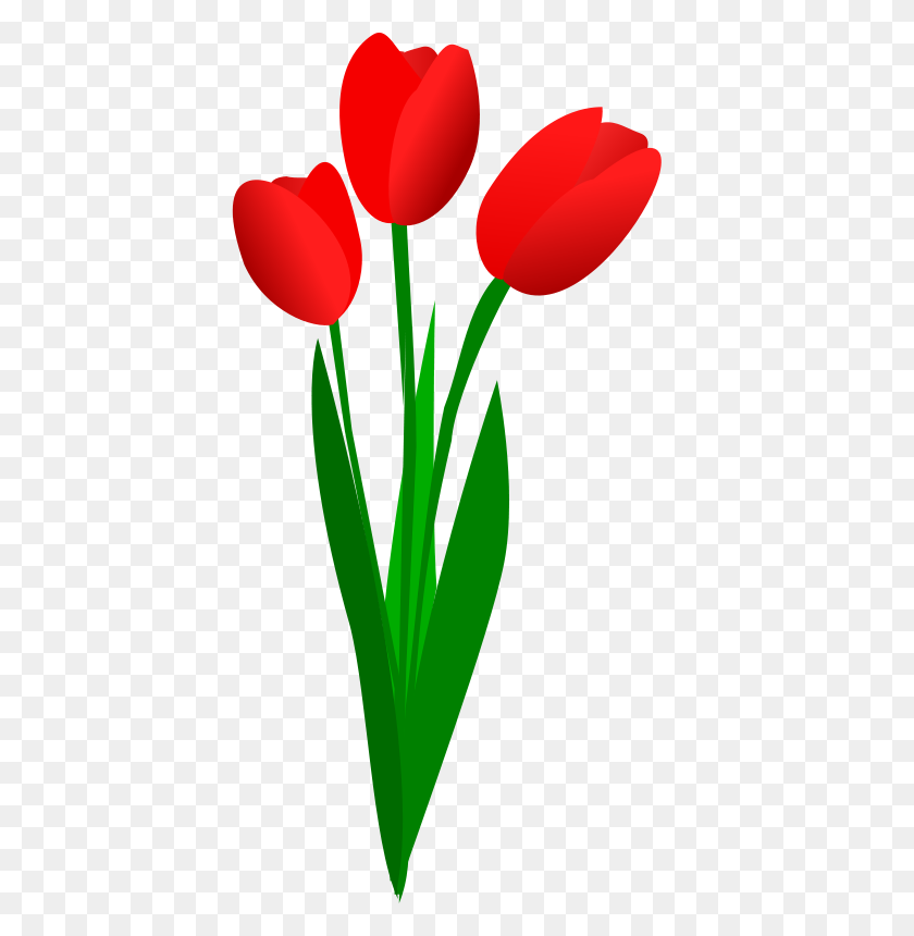 418x800 Free Tulip Clip Art Pictures - Free Clipart Images Of Flowers