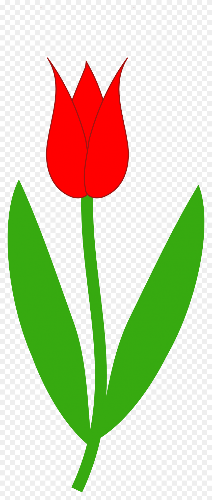 999x2456 Free Tulip Clipart Flower Clip Art Images - Flower Garden Clipart
