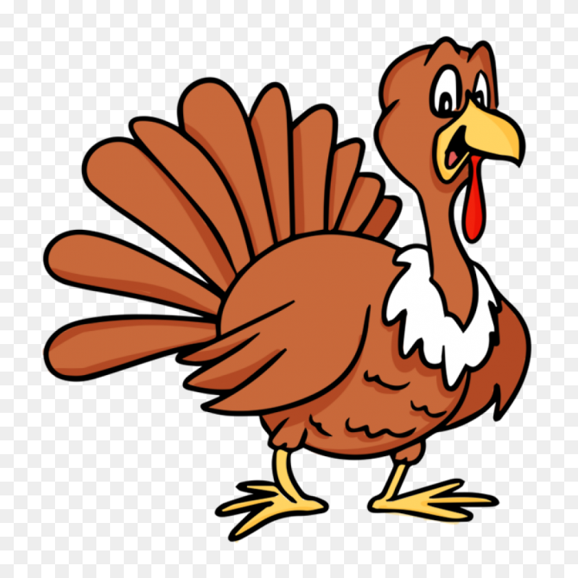 1024x1024 Free Turkey Clipart Images Free Clipart Download - Wild Turkey Clipart
