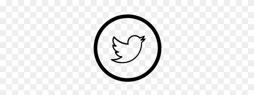 256x256 Free Twitter Icon Download Png - Twitter Icon White PNG