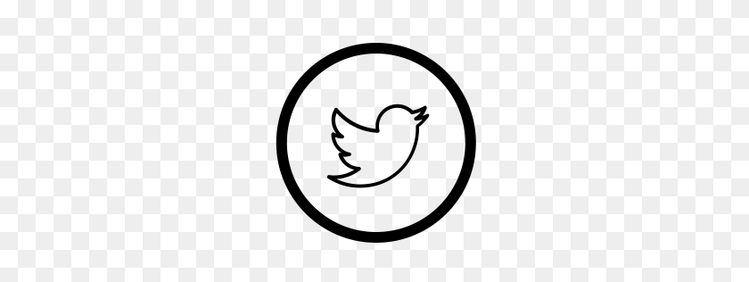 256x256 Descargar Icono De Twitter Png Gratis - Icono De Twitter Png Blanco