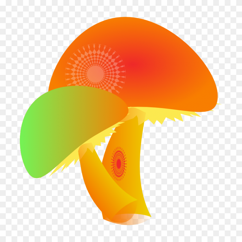 800x800 Free Two Colorful Mushrooms Clip Art Image - Cute Mushroom Clipart