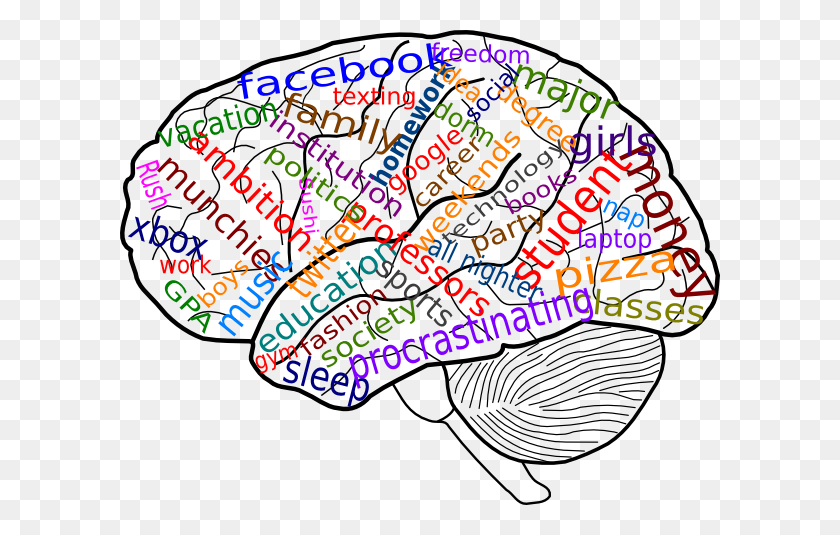 600x475 Diagrama De Cerebro Sin Etiqueta Gratuito: Imágenes Prediseñadas De Membrana Celular