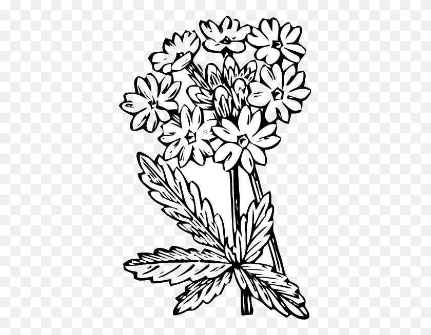 375x594 Free Vector Art Verbena Images - Succulent Clipart Black And White