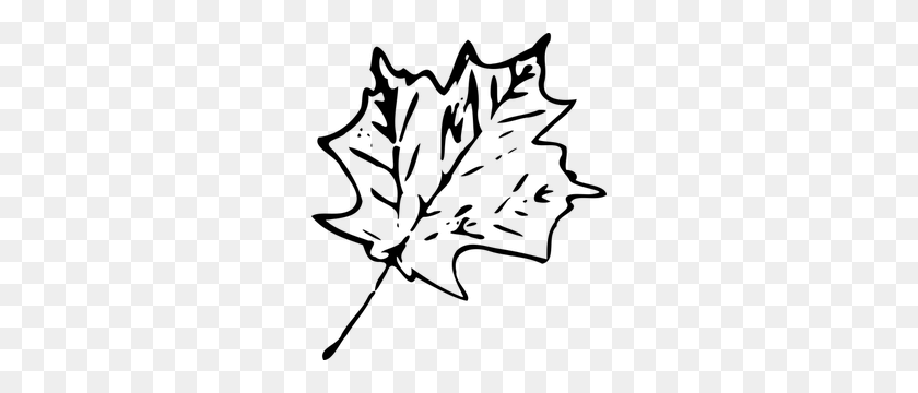 270x300 Бесплатные Векторные Канадский Кленовый Лист - Осеннее Дерево Клипарт Черно-Белый