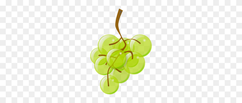 214x300 Free Vector Grapes - Swoop Clipart
