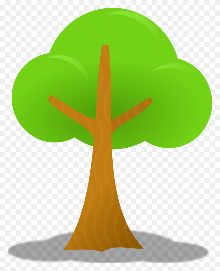 2555x3196 Free Vector Tree Png - Forest Trees PNG