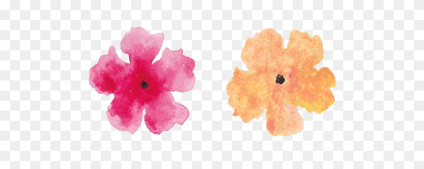 526x276 Ramo De Flores De Acuarela Gratis - Flores De Color De Agua Png