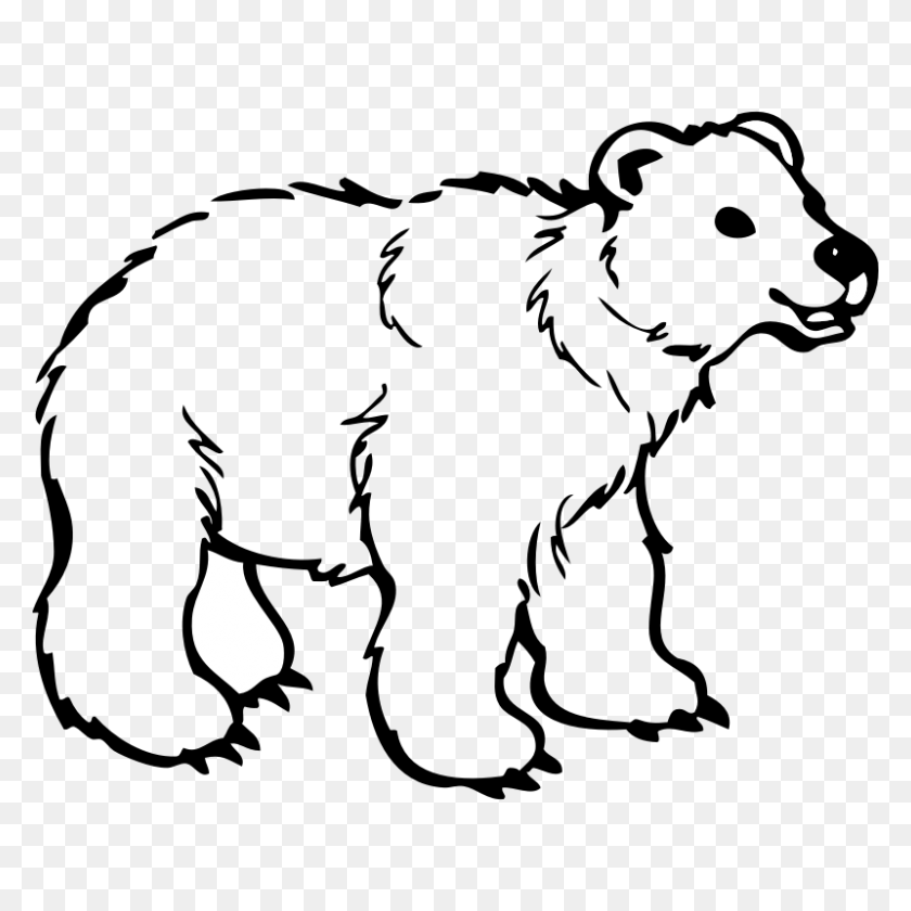 800x800 Free White Bear Cartoon - Polar Bear Clipart