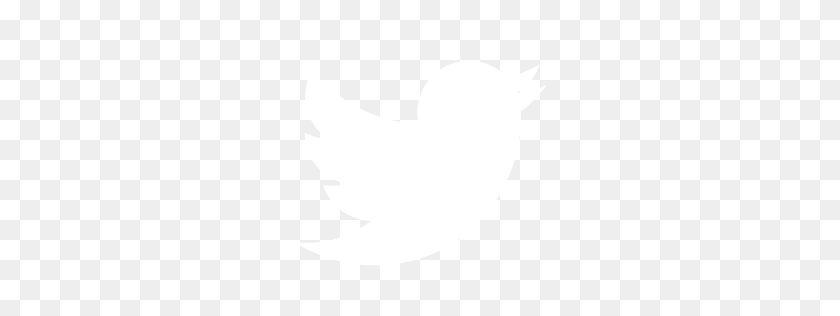 256x256 Free White Twitter Icon - White Twitter Icon PNG