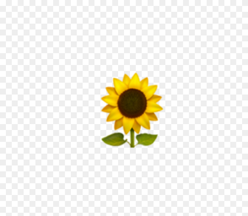 1387x1194 Freetoedit - Sunflower Emoji PNG