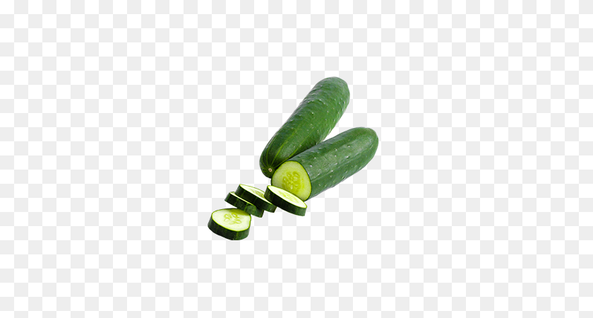 585x390 Fresh Grown Green Cucumber Suppliers Wholesalers Hydro Produce - Zucchini PNG