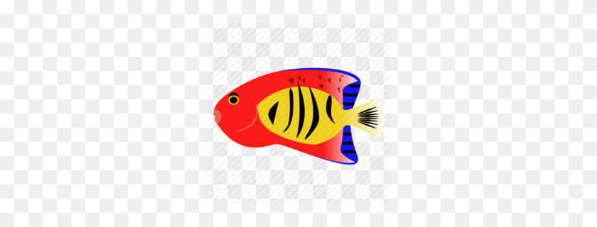 260x260 Freshwater Angelfish Clipart - Saltwater Fish Clipart