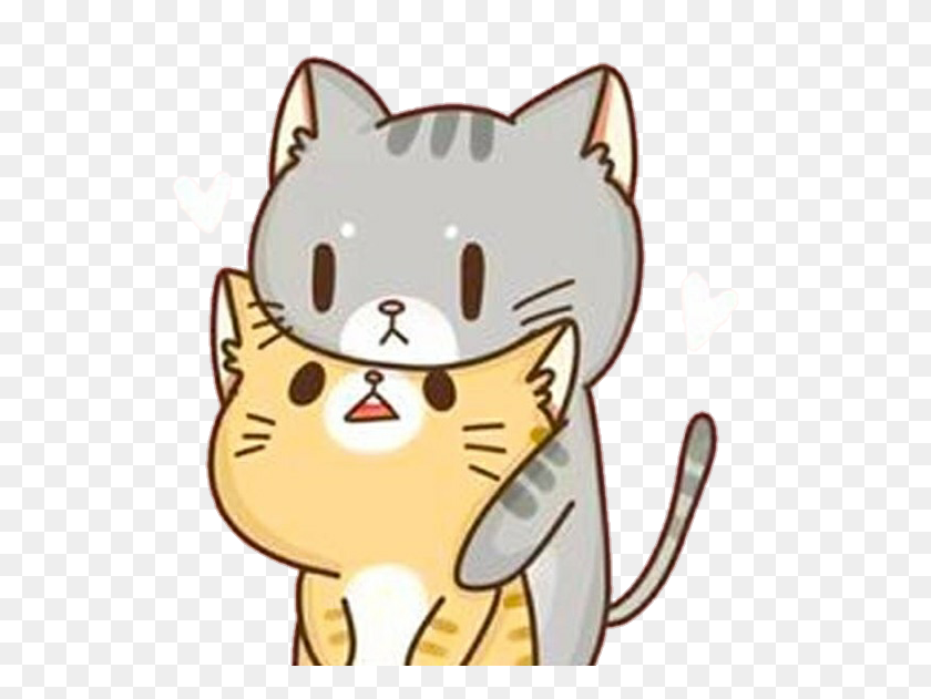 553x571 Fretoedit Cat Cats Kawaii Cute Cutecat Cuteanimals - Cute Cat PNG