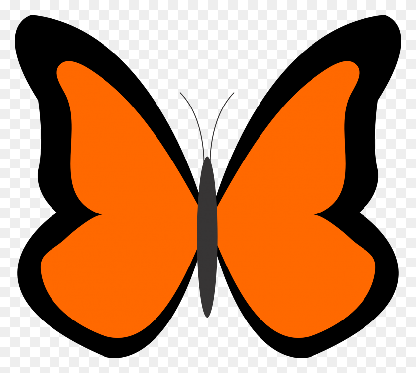 1969x1750 Клипарты Дружелюбные Бабочки - Клипарт Жизненный Цикл Бабочки