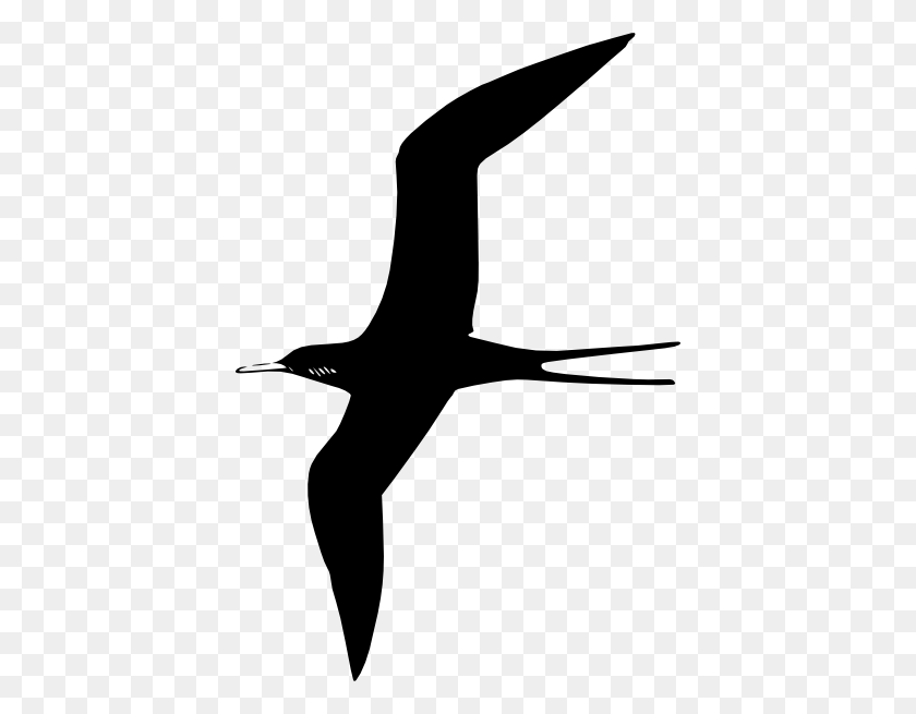 408x595 Frigate Bird Clip Art - Bird In Flight Clipart