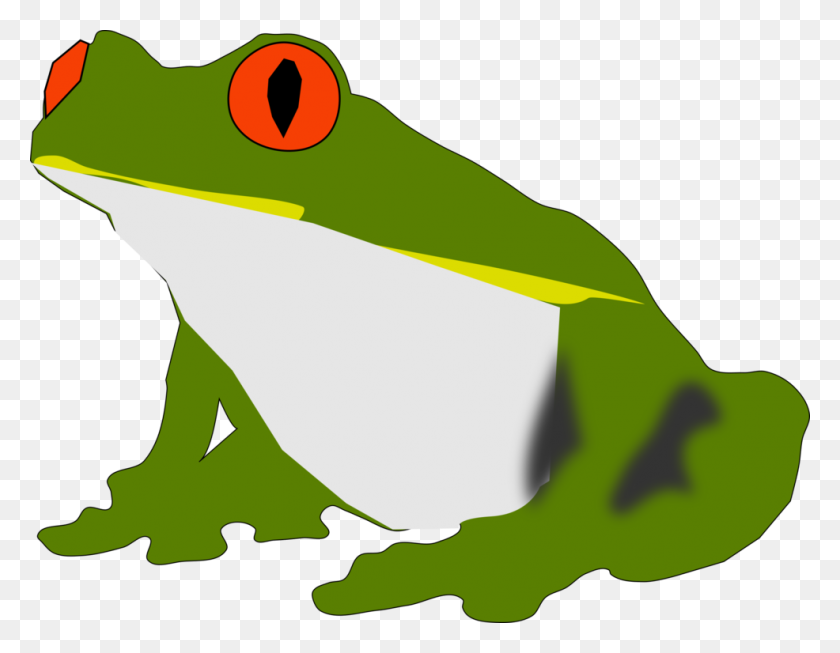 986x750 Frog And Toad Frog And Toad Tree Frog Amphibian - Frog And Toad Clipart