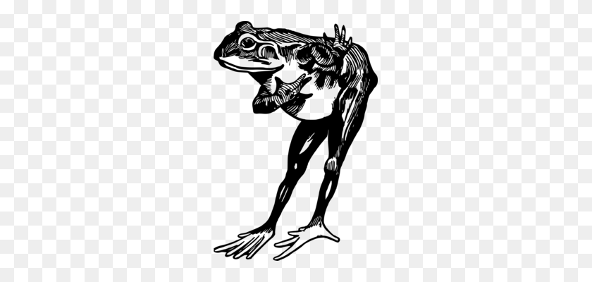 233x340 Frog Cane Toad Download Computer Icons - Toad Clipart Black And White