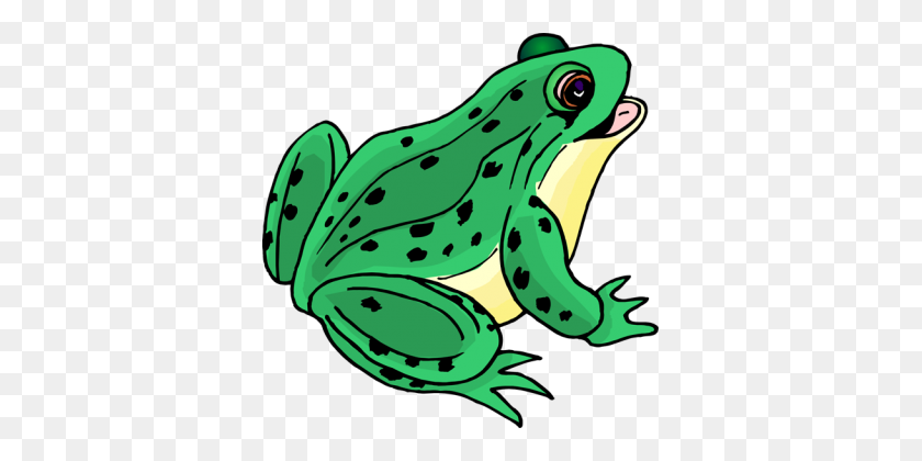 361x360 Frog Clip Art Png - Frog PNG