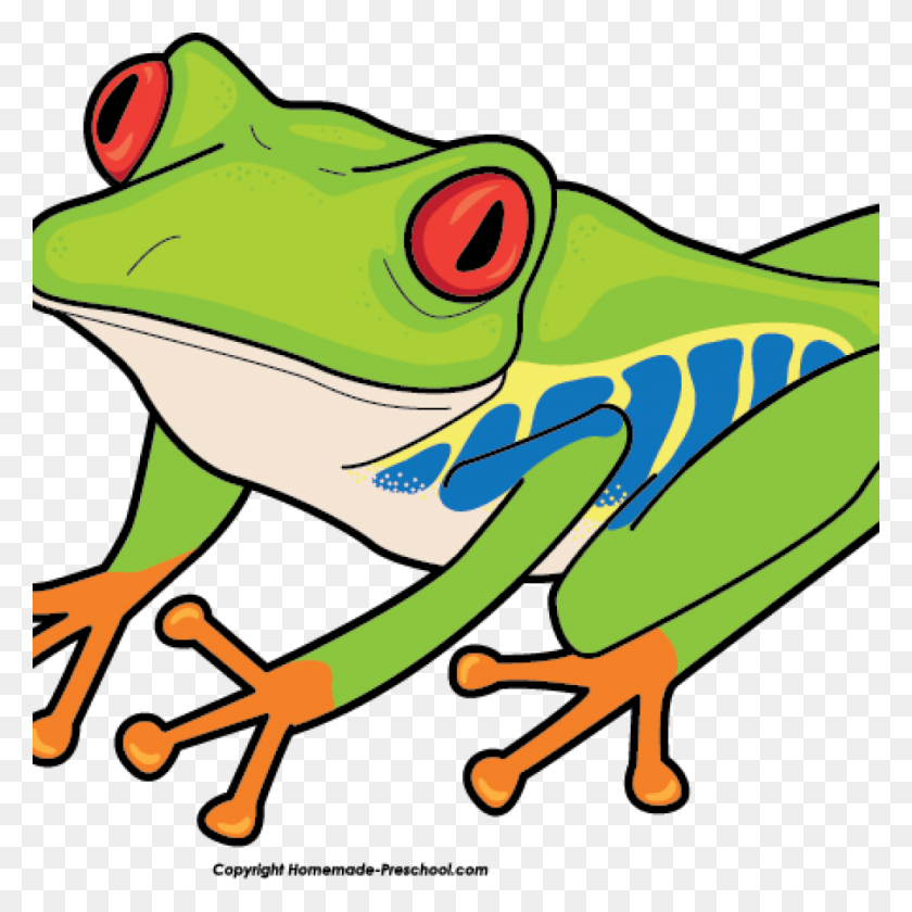 1024x1024 Frog Clipart School - Frog Clipart