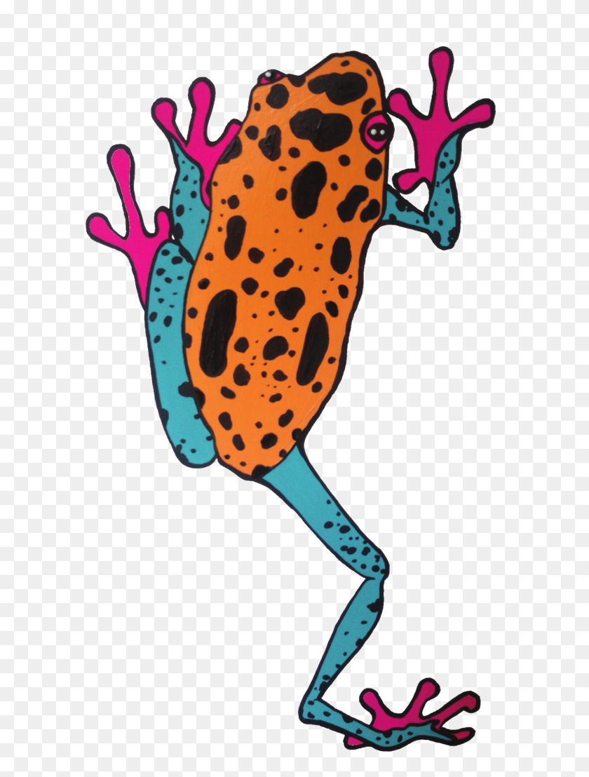 1427x1918 Frog Clipart Toad - Poison Dart Frog Clipart