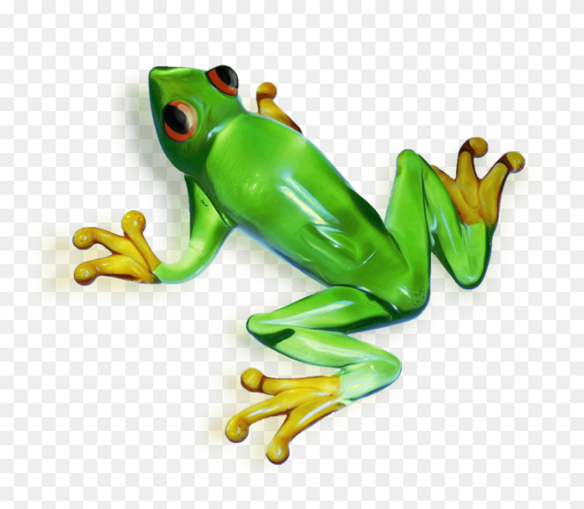 850x733 Frog Png - Frog PNG
