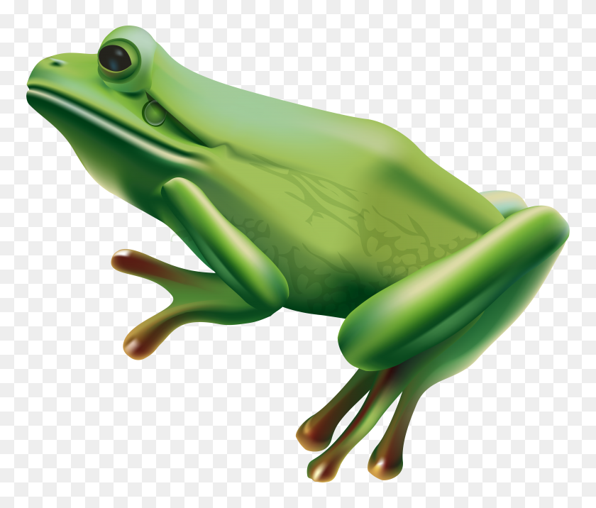 8000x6731 Frog Png Transparent Clip Art - Shrub PNG