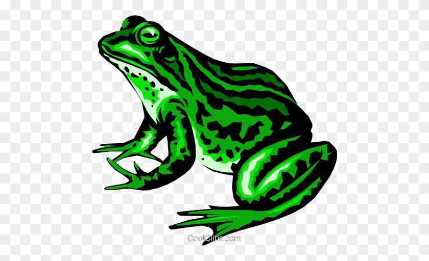 480x452 Frog Royalty Free Vector Clip Art Illustration - Frog And Toad Clipart