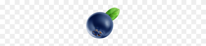 140x130 Fruit - Blueberry PNG