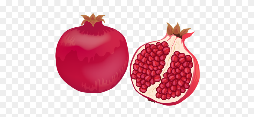 500x329 Fruit And Vegetables Clip Art - Pomegranate PNG