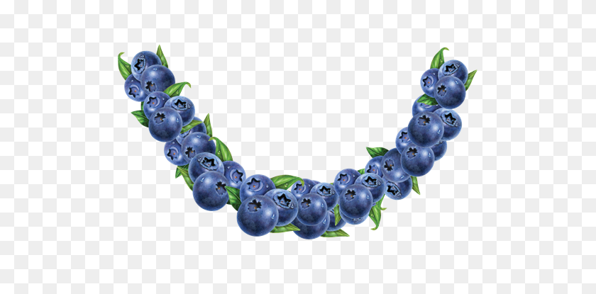 507x355 Fruit Bowl Blueberry - Blueberry PNG