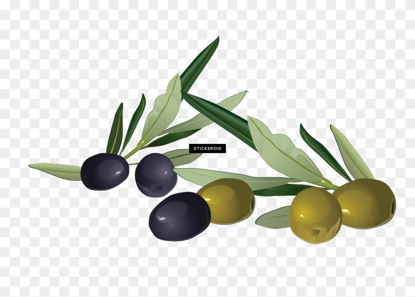 3770x2618 Fruit Clipart Mediterranean Cuisine Oil Food Olive Png - Olive Tree PNG