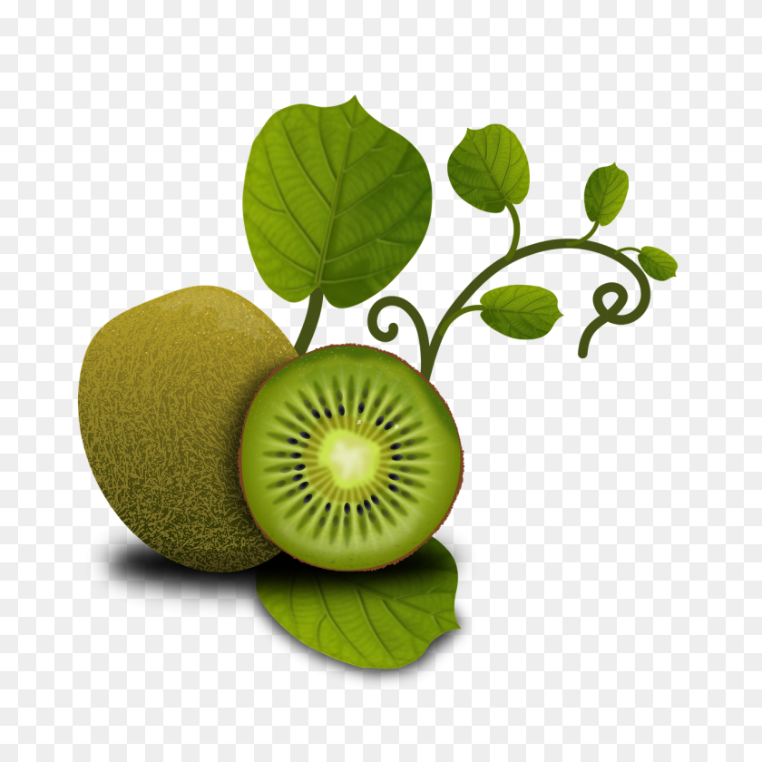 1280x1280 Fruits, Kiwi, Tropical, Plants, Vegetables - Tropical Plant PNG