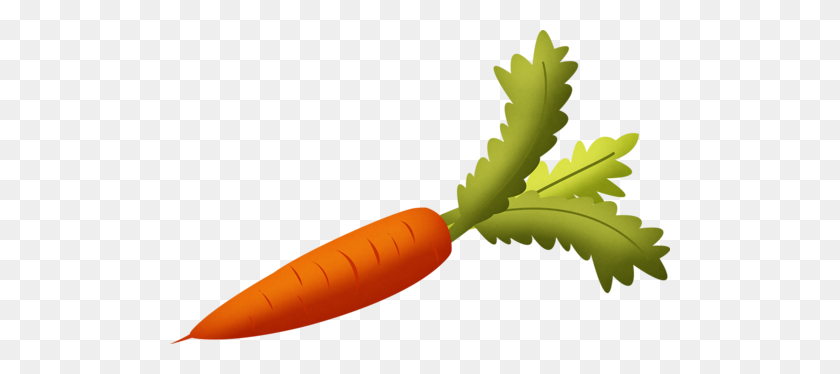 500x314 Frukty, Ovoshchi Baskets Clipart Carrots - Carrot Garden Clipart