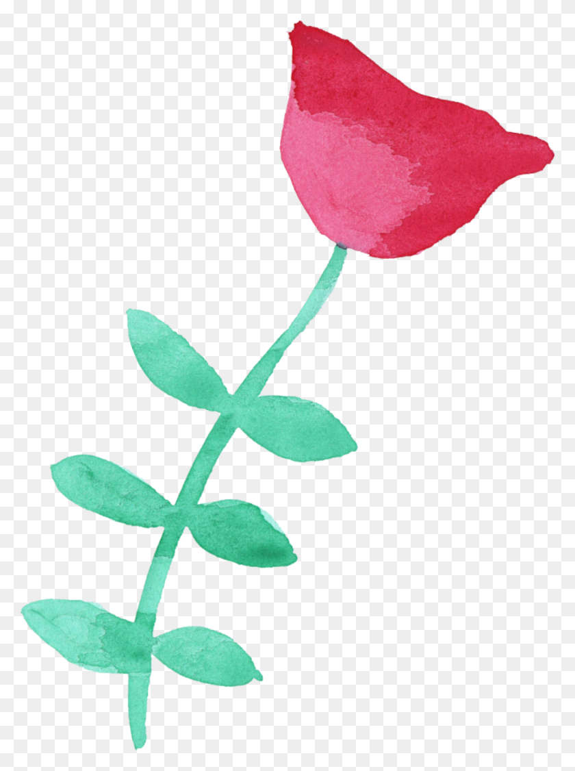1426x1949 Ftestickers Акварельный Цветок Тюльпан Красный - Акварельный Цветок Png