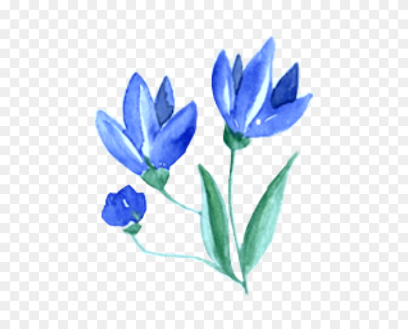 618x618 Ftestickers Watercolor Flowers Blue - Watercolor Flowers PNG